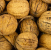 Large shelled walnuts